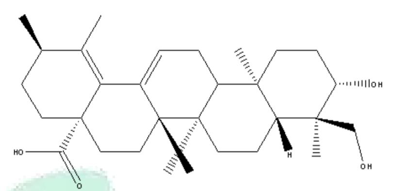 10-Hydroxy-9-hydroxymethyl-1,2,6a,6b,9,12a-hexamethyl-3,4,5,6,6a,6b,7,8,8a,9,10,11,12,12a,12b,13-hexadecahydro-2H-picene-4a-carboxylic acid Featured Image