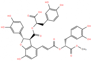 9’’’-Methyllithospermate B