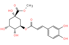 Methyl chlorogenate