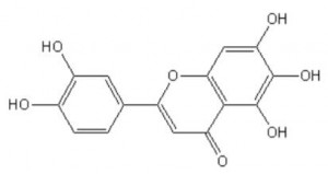 6-Hydroxyluteolin | Cas 18003-33-3