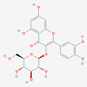 Isoquercitrin