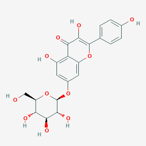 Kaempferol-7-O-beta-D-glucopyranoside