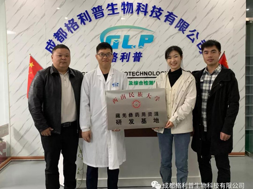 Southwest Minzu University cooperation with Chengdu GLP Biotechnology for tibetan medicine